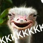 Eita... eita....eita