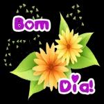 bom..dia 