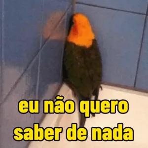RMfqqF
