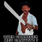 GOSTEI DA FIGURINHA VOU ROUBAR