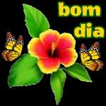 Bom dia 