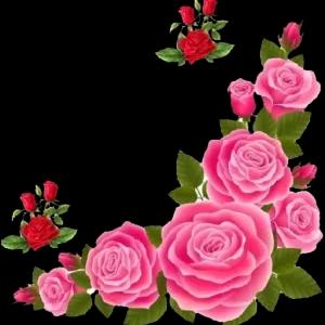 0Swcl9