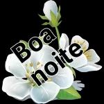 Bom
dia