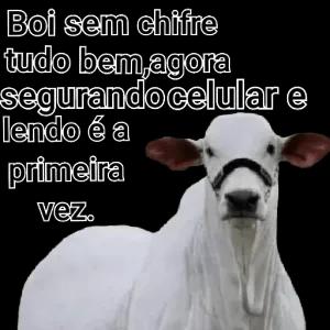 7IXH1Z