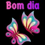 Boa Noite