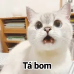 figurinhas