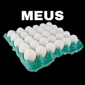 MEUS - getsticker.com