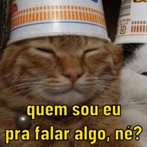86DLQj