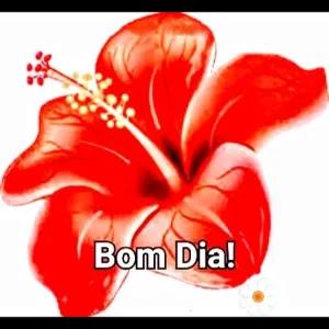 Bom Dia! - getsticker.com