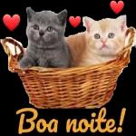Boa noite 💋