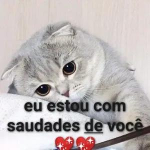 eu estou com saudades de você - getsticker.com