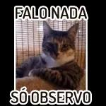 FALO NADA SÓ OBSERVO 