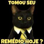 tomou seu remédio hoje?