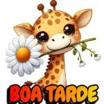 Boa tarde 