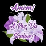 A paz do Senhor Jesus!!!