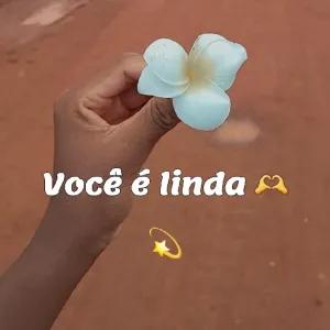 SaaQ1r