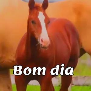 ZahtC1