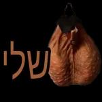 שישי