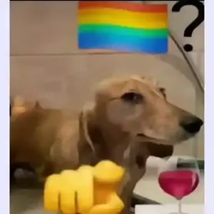 NCZzMD