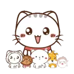 cat