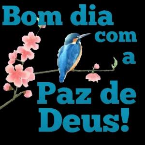 Bom dia com a Paz de Deus! - getsticker.com