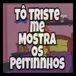 ursinho