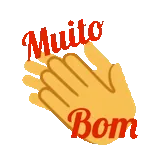 FELIZ ANO NOVO