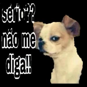 sério?? não me diga! - getsticker.com
