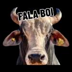fode