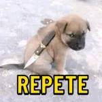 Sexta da bagaceira