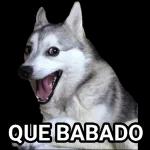 memes 