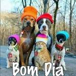 bom dia