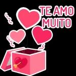  TAMO JUNTO