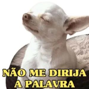 NÃO ME DIRIJAA PALAVRA - getsticker.com