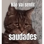 jbssssss