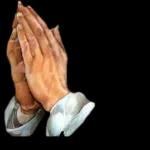 No Jodas @rose.stickers1