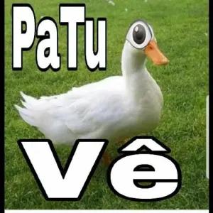 PaTu Vê - getsticker.com