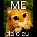 sexo