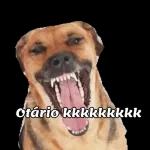 ISSO A GLOBO NÃO MOSTRA