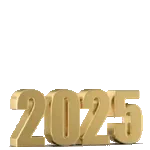ano novo 2025