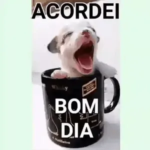 MqAij9