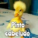 carnaval 