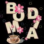 Bom dia