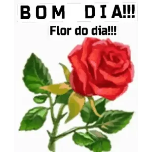 Fsm6FU