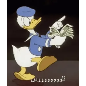 w4C5Dz