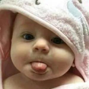 getsticker.com
