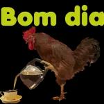 Bom dia 