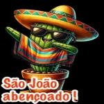 Viva São João!