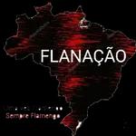 Flamengo Gol