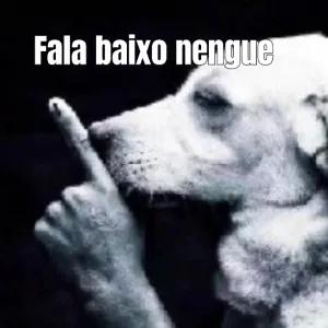 Fala baixo nengue - getsticker.com